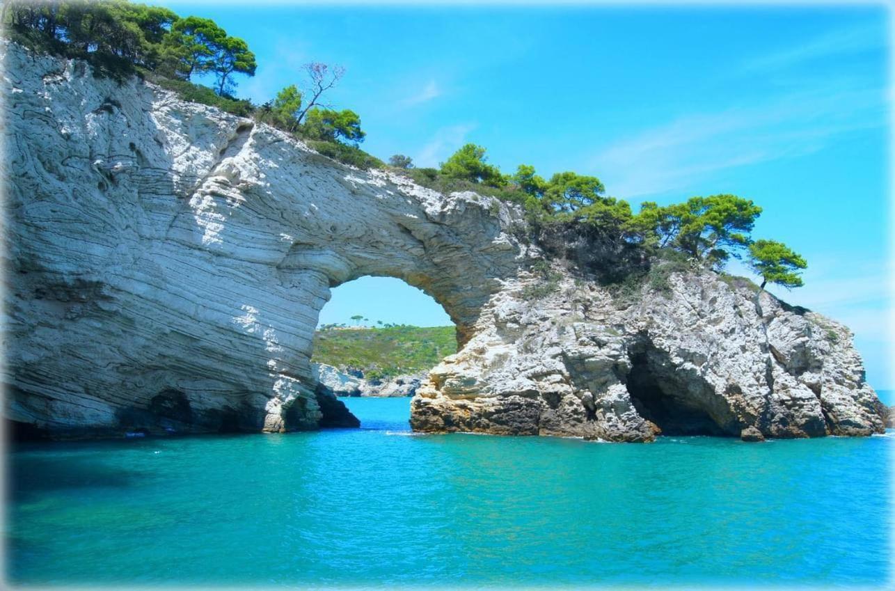 Casa Vacanze Mare Gargano 罗迪-加尔加尼科 外观 照片